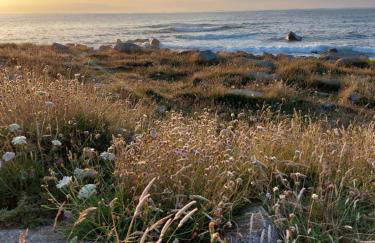 Île Grande, Location maison saisonnière chez Dom et Cathy C - Foto 11