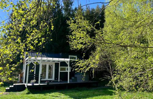 Leśne Siedlisko Wygonin - Foto 47