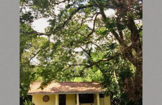 Recanto da Floresta - Casa de campo em Secretário - Foto 30