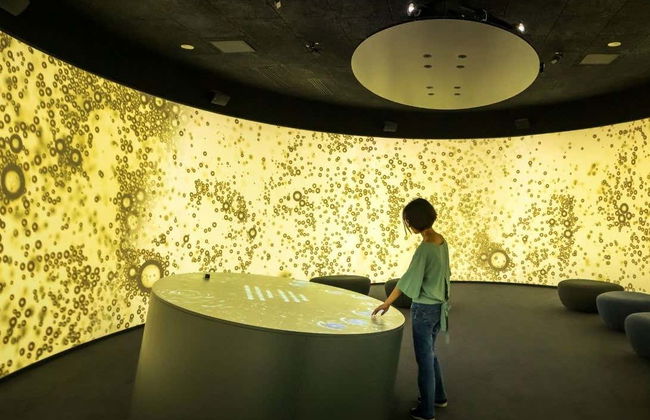 Entrada al museo enológico Pressoria + Cata de champán - Foto 4