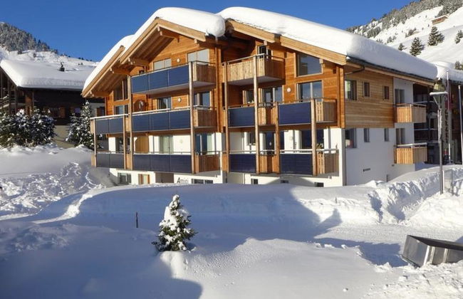 Amici 1. OG West - Foto 2