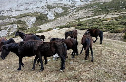 Los Casares - Foto 59