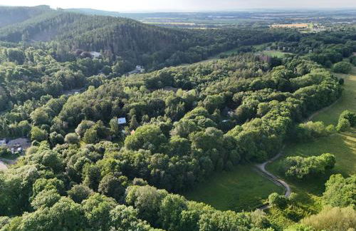 Ferienwohnung im Kunst- und Logierhaus Villa Ihler - Photo 25
