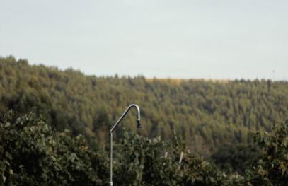 Quinta de Lourosa - Foto 42