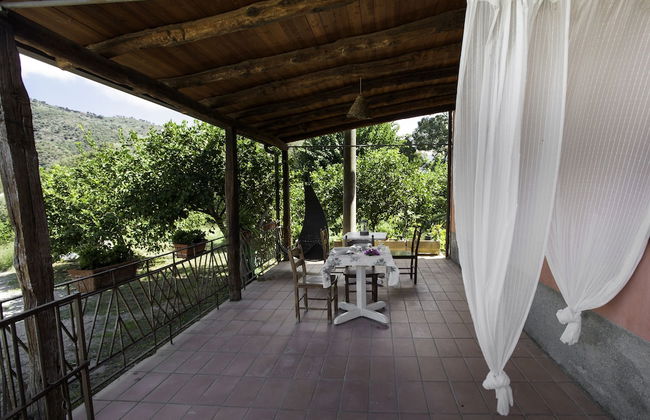 Agricontura - Foto 61