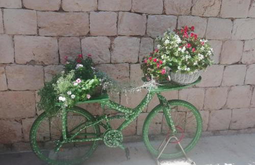 Studio apartman u renesansnoj vili - Foto 24