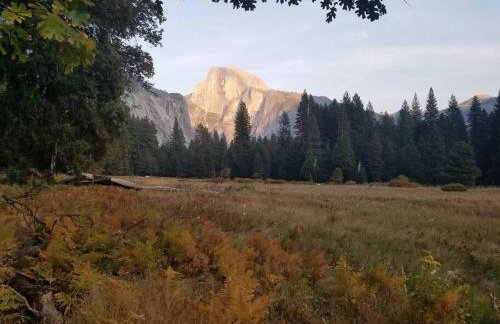 Loyah Cabin - Foto 7