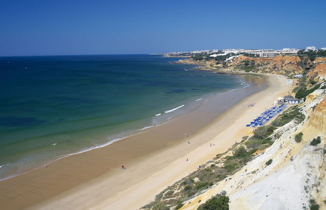 Pine Cliffs Gardens - Foto 65