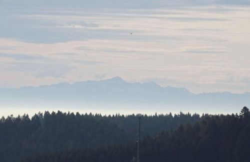 Guesthouse Ritzmann - Foto 12