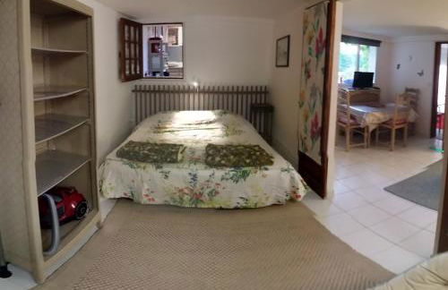 Les Nympheas, au calme, grand jardin à 15 min de Disney - Foto 17