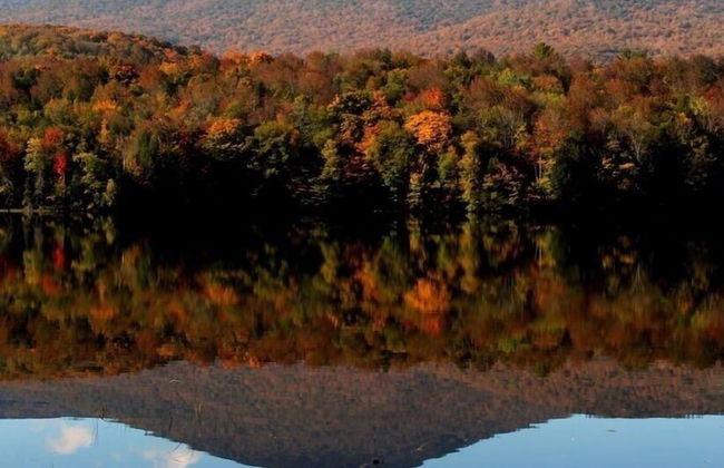 Pico Village Resort by RedAwning - Foto 67