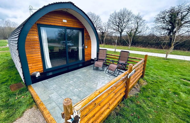 Beech Pod Cabin in Beautiful Surroundings Wrexham - Photo 24