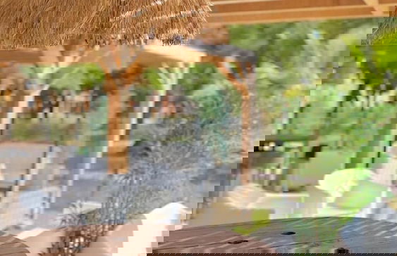 les hameaux de saint cyprien - Foto 43