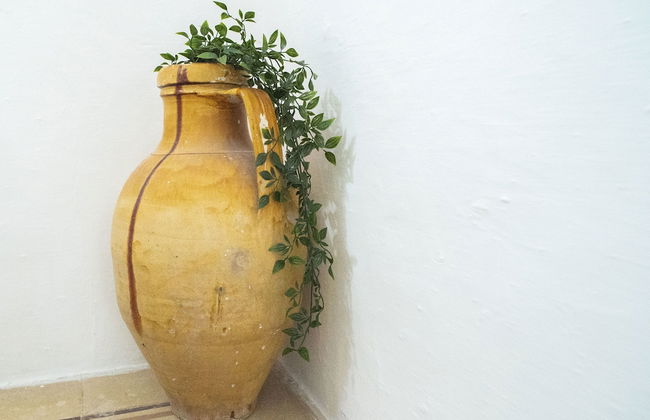 Trullo Pinto - Foto 3