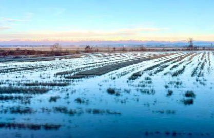 COZY PLACE 10 - Foto 40