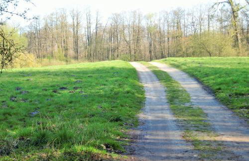 Altes Forsthaus Garzau - Foto 37