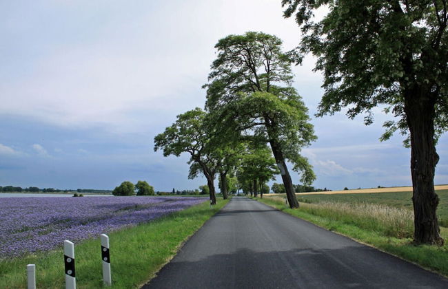 Lake View Modern Retreat - Foto 25