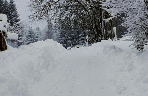 Pumphuts Scheune Ferienwohnungen Nr 1 - 4 beim Freizeitpark Plohn - Foto 65