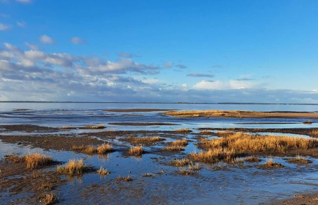 2 Person Holiday Home in Esbjerg V-by Traum - Foto 36