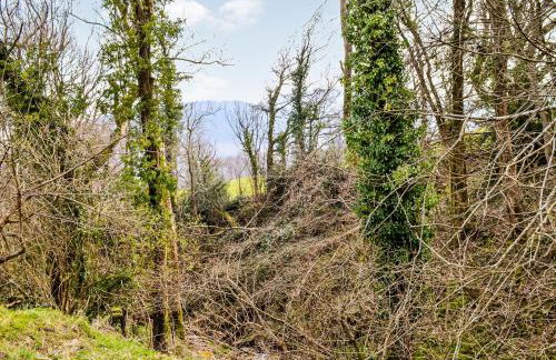 Ty Nofio - Uk36421 - Foto 14