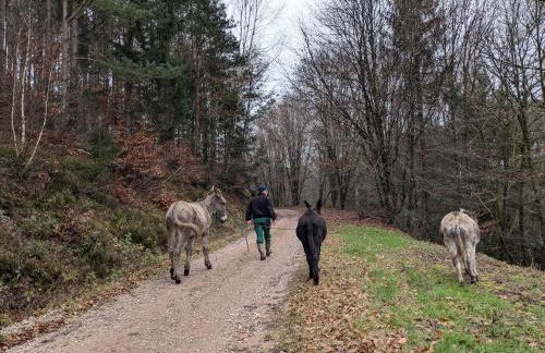 Gîte mon chez moi - Foto 7