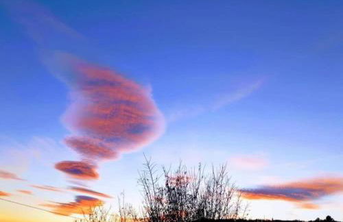 Andalusian Countryside Stay - Foto 26
