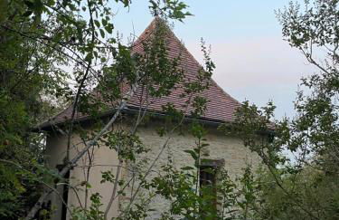 Le Mas d'Angèle - Foto 12