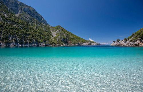 Petrino Minimal - Foto 57