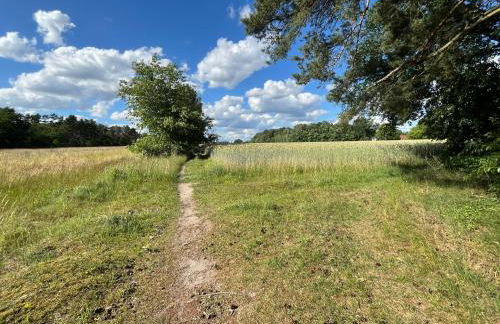 TOP-Ferienwohnung bei Berlin, bis 3 Gäste, Terrasse und Garten - Foto 32