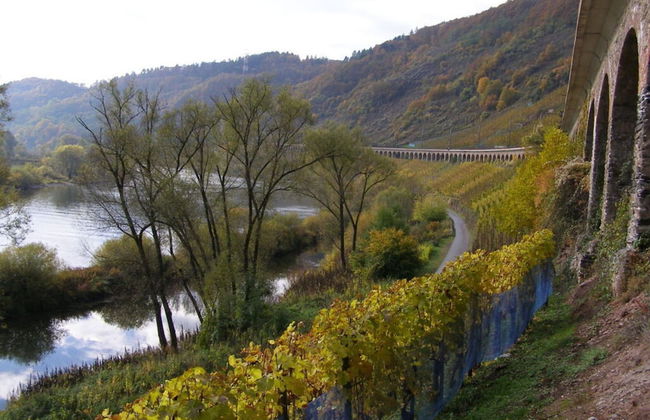 Holiday Apartment Haus Burgenblick Bullay - Foto 10