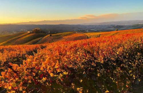 Casa di Dario - Foto 37