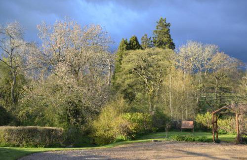 Green Farm Stables - Foto 43