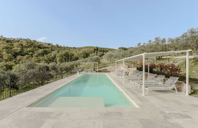 Il Mulino delle Canutole - Foto 54