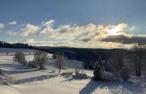 Ferienwohnung Lindenhof - Photo 26