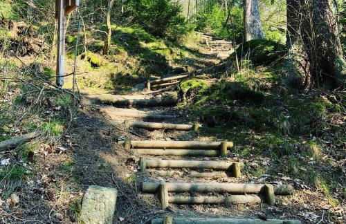 Ferienwohnung Frankenwald - Foto 20