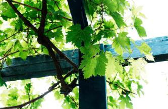 Castello Villa ( best view in Myloi village) - Foto 55