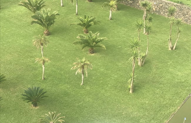 Whales Bay Hotel - Photo 64