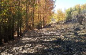 Casas Rurales La Loma Del Carrascal - Foto 18