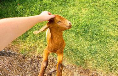 Hospedagem Zilz - Foto 37