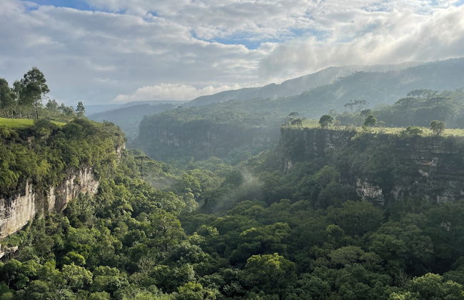Morada do Guardião - Foto 58