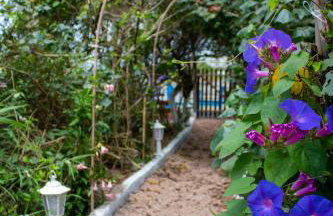 Casa do Farol - Frente para a praia - Photo 47