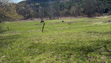 Walnut Grove - Foto 2