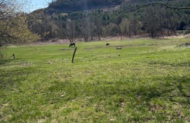 Walnut Grove - Foto 2