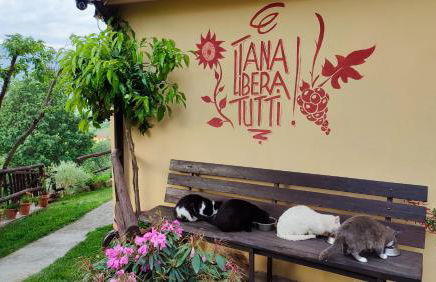 Tana Libera Tutti 3 Nature, Yourself, Love - Foto 21