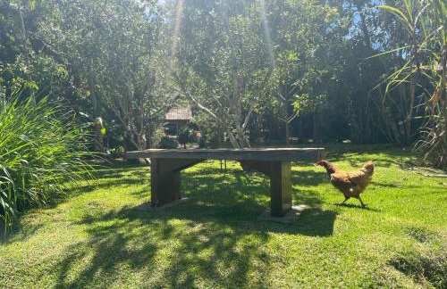 Casa em Friburgo com piscina, lareira suíte & quarto ATENCAO SABADO DIA 18 DE ABRIL TERA FESTA NA CHACARA - Foto 35