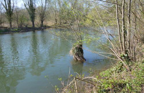 Ferienwohnungen Am Brunnen - Nähe Europapark, W-LAN, Klimaanlage - Foto 54