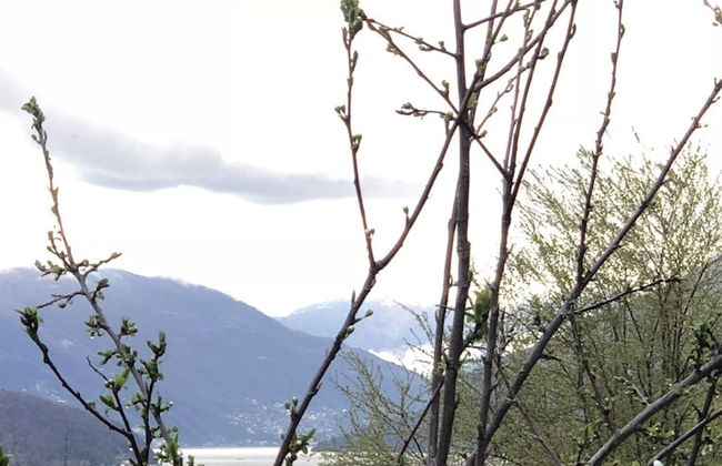 Agriturismo La Betulla - Foto 61