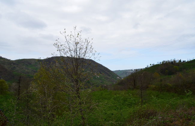 Bigoşa Bungalov - Foto 34