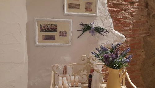 La Tana del Riccio - Foto 3