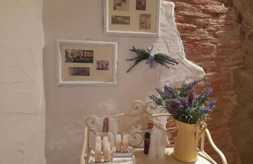 La Tana del Riccio - Foto 3